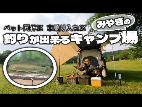 むぎぱぱちゃんねる【Fishing & Camping】 - YouTube