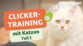 Clickertraining mit Katzen Teil 1/2