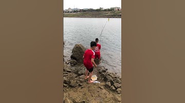 Câu cá sông đà #shorts