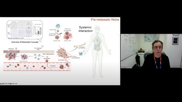 Day 1: Composition, Communication and Function of the Tumor Microenvironment