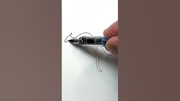 From Down Under One Line #kangaroo #onelinedrawing #fountainpen