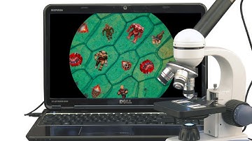 MiniMod - Mini Mod Madness