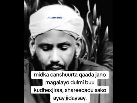 Midka Canshuurta Qaada Jano Magalayo Dulmi Buu Kudhexjiraa Shareecadu Sako Ayay Jidaysay Samawade