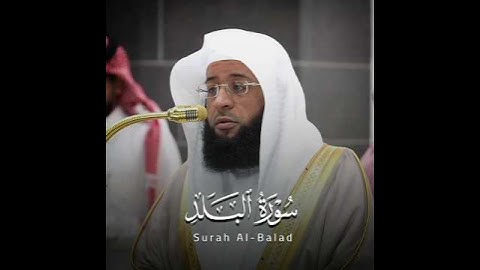 ترتيل رائع! لخواتيم #سورة_البلد 🎧🤍 | فضيلة الشيخ #بدر_التركي