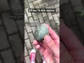 S3 Day 74 Rock Update
