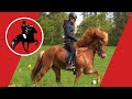 TOP-Naturtölter mit Sportpotenzial gibt tolles Reitgefühl - "Eldur von Gut Wertheim"