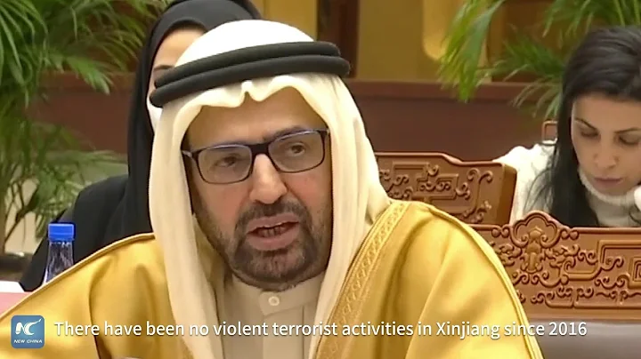 World Muslim Communities Council leader hails Xinjiang’s anti-terrorism efforts