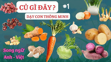 Dạy Bé Nhận Biết Các Loại rau củ quả 🌱🥦 | Song Ngữ Việt Anh 🧅🧄| Dạy trẻ thông minh sớm 🍠🥔