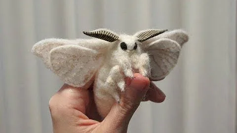 Top 10 Animals You Didn't Know Existed