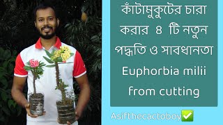 Katta dumbali fotosuratlar bilan kaltaklar