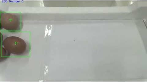 EGG Couting with Yolo2 technique and Euclidean distance tracking