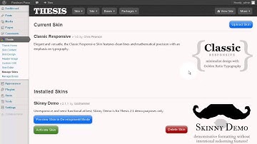 Thesis 2.1 | Upload and Activate a Skin