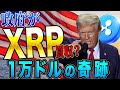 【リップル1万ドル説】アメリカが381億XRPを1万ドルで買う説