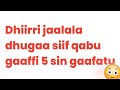Dhiirri Jaalala Dhugaa Siif Qabu Gaaffi 5 Sin Gaafatu 