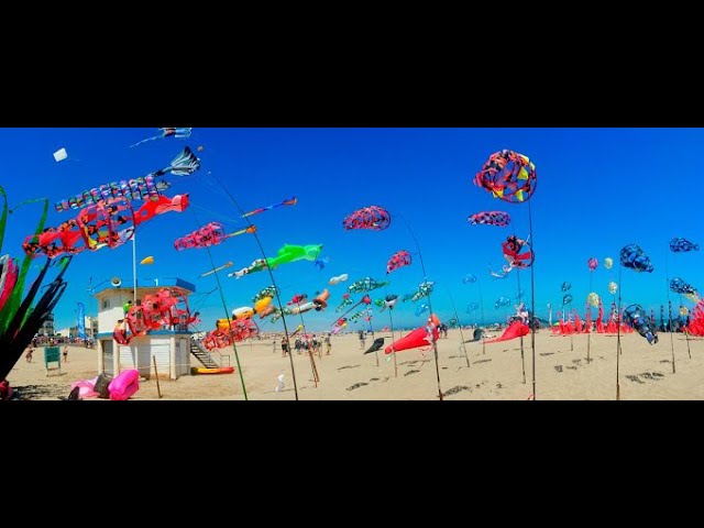 Les natur'Ailes - Festival international de cerf volants à Narbonne