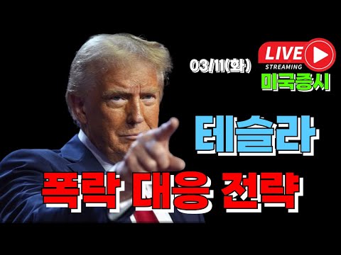 03/11 화 ( 실시간 라이브 ) 테슬라 폭락 대응 전략 I 미국주식 대응 및 전략