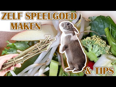 Video: Hoe Een Decoratief Konijn Te Voeren?