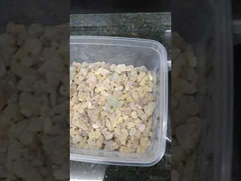 انواع البان الذكر المر واسعارة