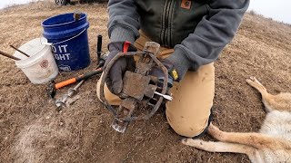 Kansas Trapping: Resetting A Duke 650 Coyote Trap - The Management Advantage