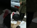 Влог. Поездка в Моздок на базар