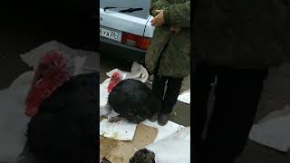 Влог. Поездка в Моздок на базар