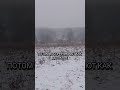 #цитаты #подпишись #цитатысосмыслом #словасосмыслом