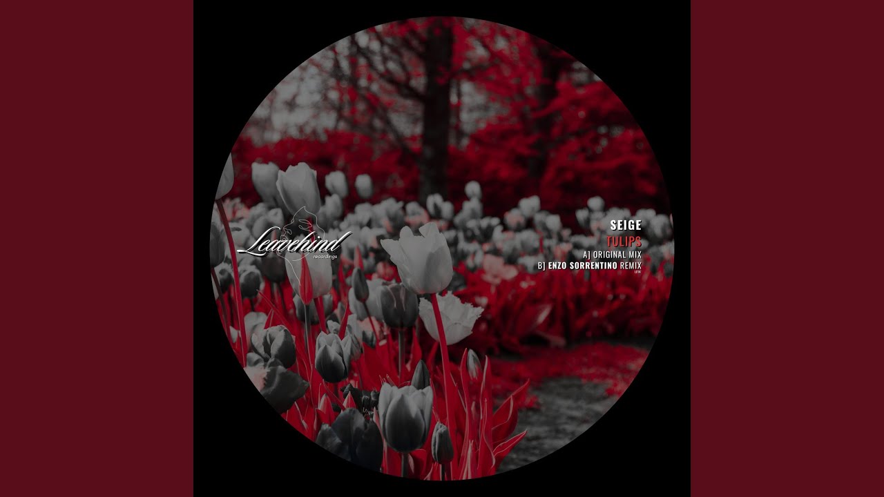 Watch Tulips (Original Mix) on YouTube Watch Tulips (Original Mix) on YouTube