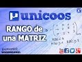 RANGO de una matriz por determinantes 02 BACHILLERATO unicoos