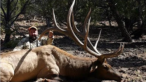 408" B&C Bull Elk Hunt - #2 Typical in Utah - MossBack