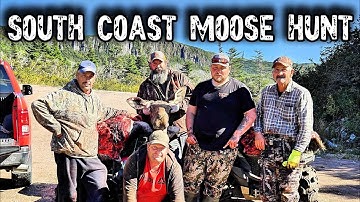 NEWFOUNDLAND SOUTH COAST MOOSE HUNT 