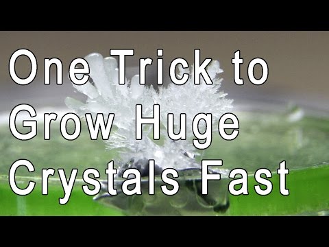 One Simple Trick To Grow Crystals Fast/Huge/Different