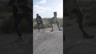 Velociraptor Dance #dance #bollywood #jurassicworld