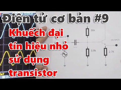 Video: Tín hiệu tế bào được khuếch đại như thế nào?