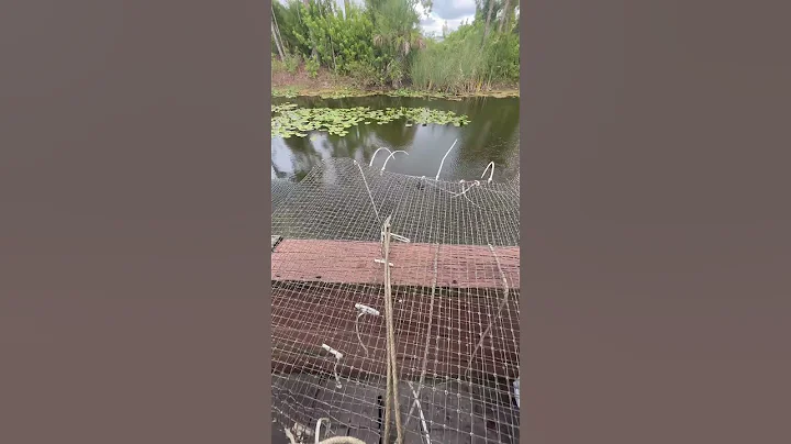 24 HOUR FISH TRAP PART 1🐠❓