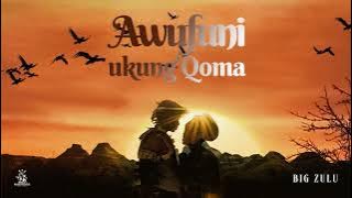 Big Zulu - Awufuni Ukung’Qoma