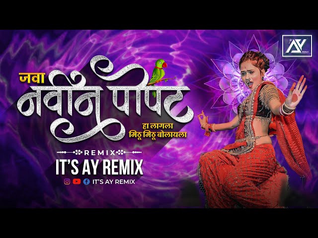 Navin Popat Ha DJ Song | Java Navin Popat Ha Lagla Mithu Mithu Bolayala | Anand Shinde| Its AY Remix class=