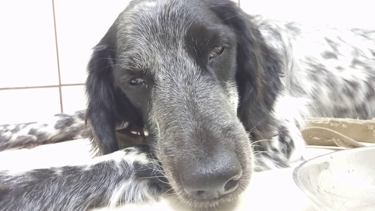 Бесплатные порно видео! Огромная коллекция качественного порно на RU