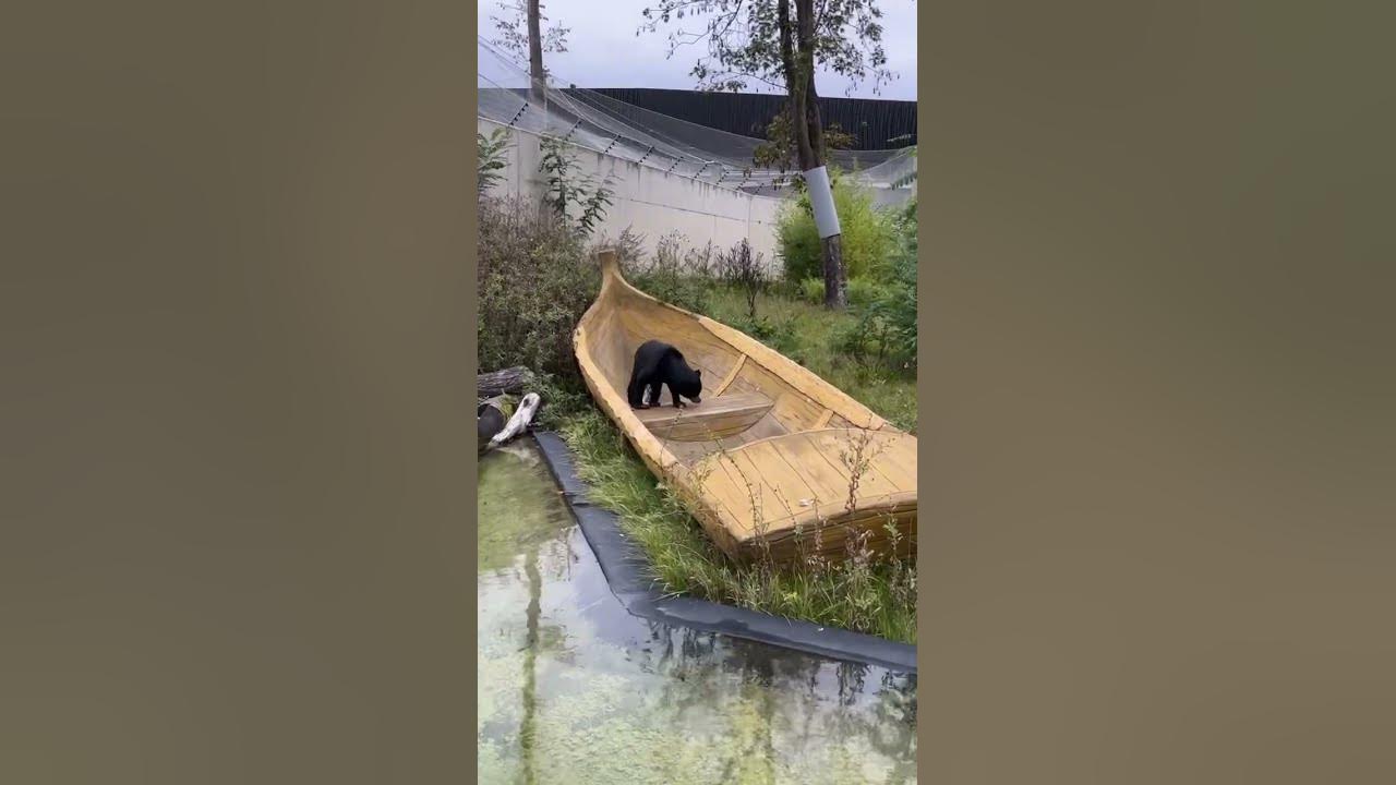 is-this-video-a-million-views-worth-it-youtube