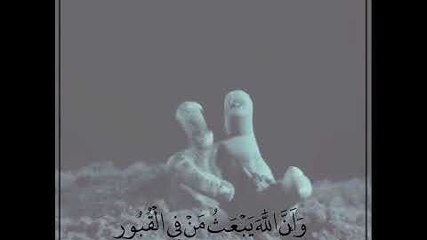 حالات واتس اب دينية❤️ //مقاطع قرآن كريم انستقرام دينية💙 //ستوريات إنستغرام 🌼