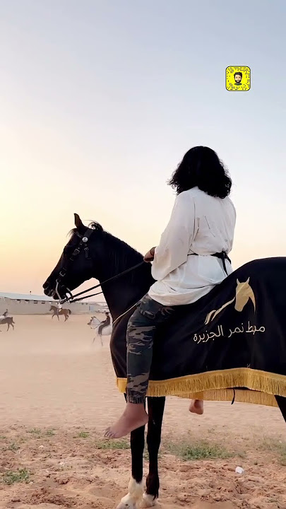 الادهم عقاب في شعيب اسطبلات الجنادرية الرياض #اكسبلور #explore #snapchat #سناب #shorts
