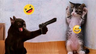 😂🐕 Best Cats and Dogs Videos 😆🐱 New Funny Animals 2024 #7