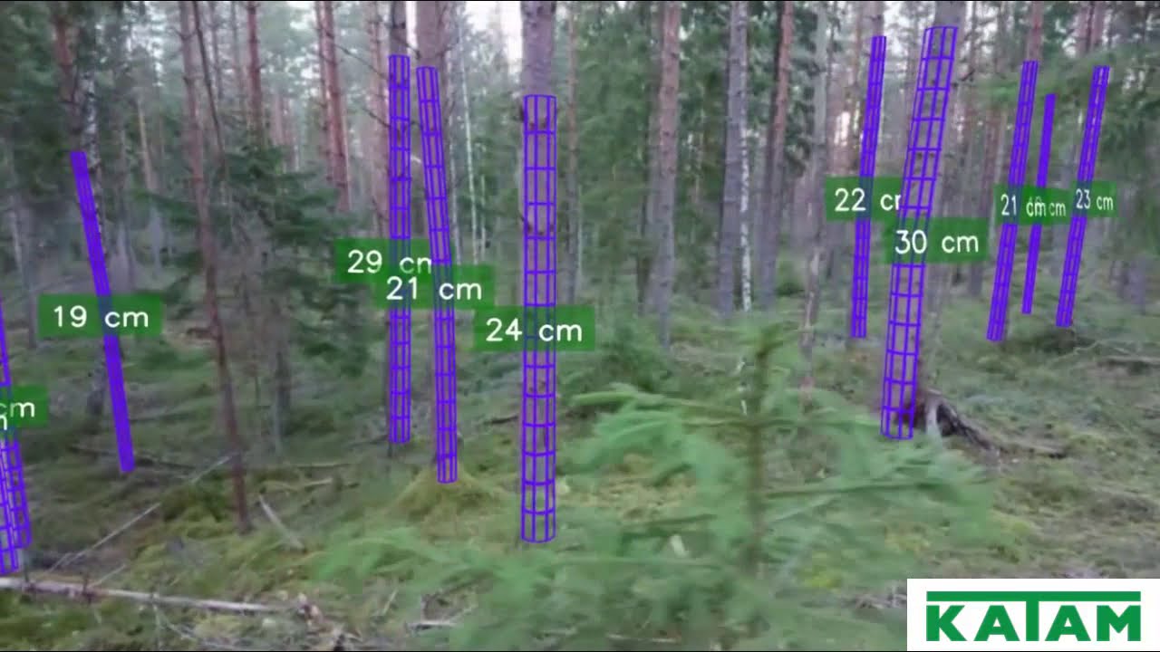 App software forestal: Cómo hacer un inventario forestal con alta precisión  | OVACEN