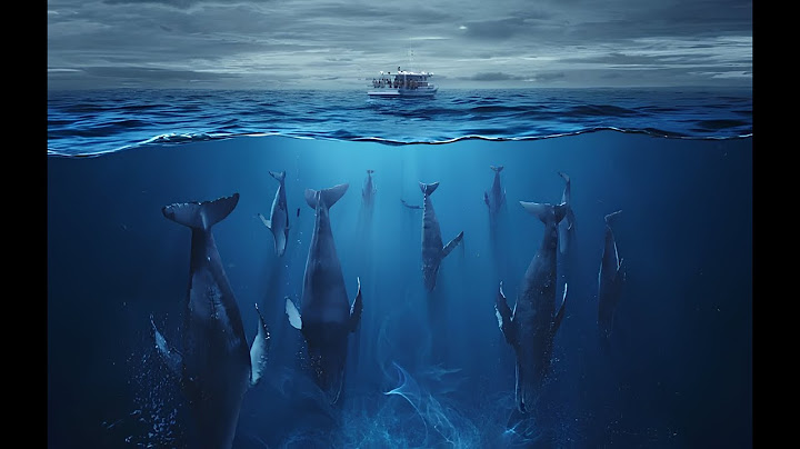 🎬🌊-Que se Passe-t-il Vraiment à 10 000 Mètres Sous l’Eau : Voyage au Cœur des Abysses...