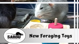 Foraging Toys by Rat Angels Rodent Rescue and Pet Things