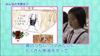 ふしぎエンドレス　理科４年「寒くなると？」 解説字幕放送