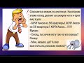 КАРАНТЬЕ - человек, сдающий в аренду своих животных для прогулки во время КАРАНТИНА