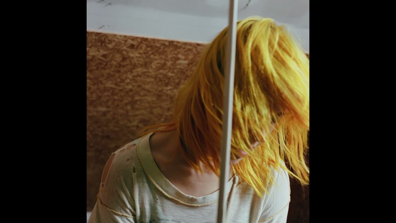 Hayley Williams - True Believer (Acapella)