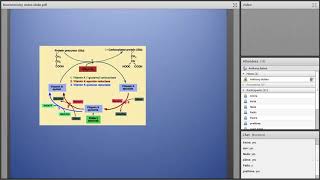 NBDE Biological compounds