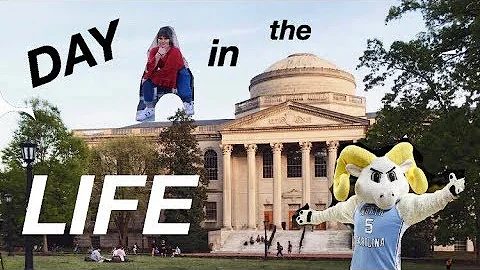 chilling adventures of a senior biology major | un...