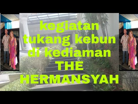 Video: Vetkorez: Karakteristik Model Baterai, Batang Dan Bensin. Bagaimana Memilih Tukang Kebun Listrik?